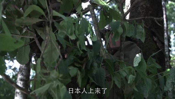 中国远征军 第四十五集 因为一个片段看了整部剧
