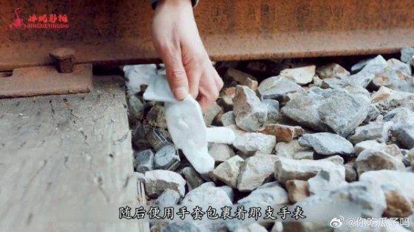 侯三金又被猫戏耍,这波操作太搞笑!