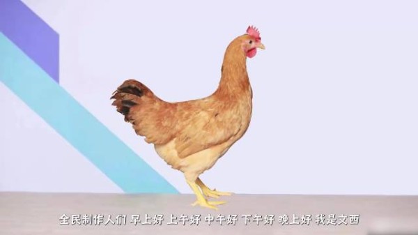 印度拍的抗英神剧太抽象了!看得我汗流浃背了,由文西激情解说