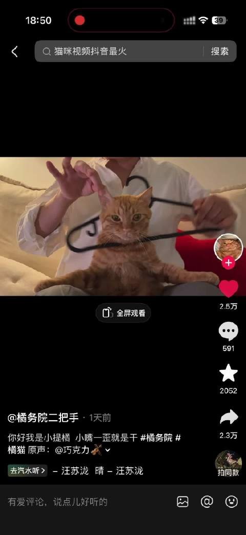哈哈哈哈哈还是晴的间奏太配了，咪无可恋，明天给呆呆安排一个！