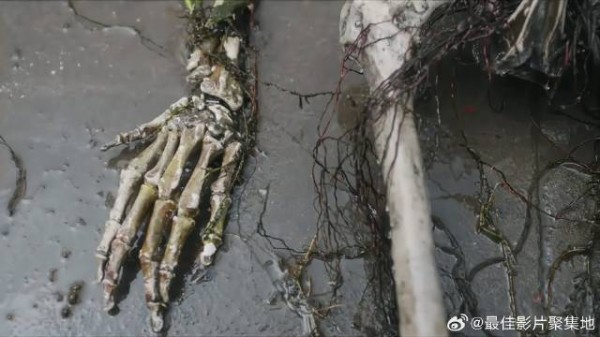 莲塘里捞出尸骨 上面竟有六根指骨,李莲花秒懂死者身份