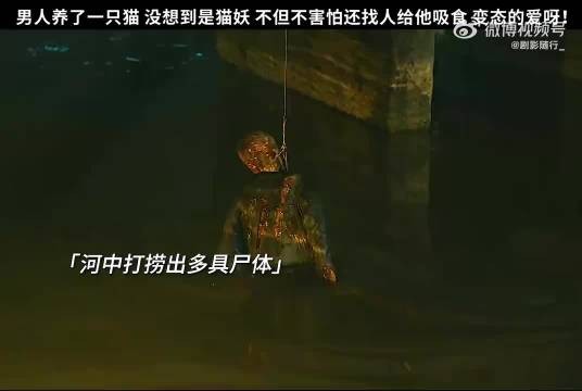 这样的猫换做是你是爱了 还是怕了呢?