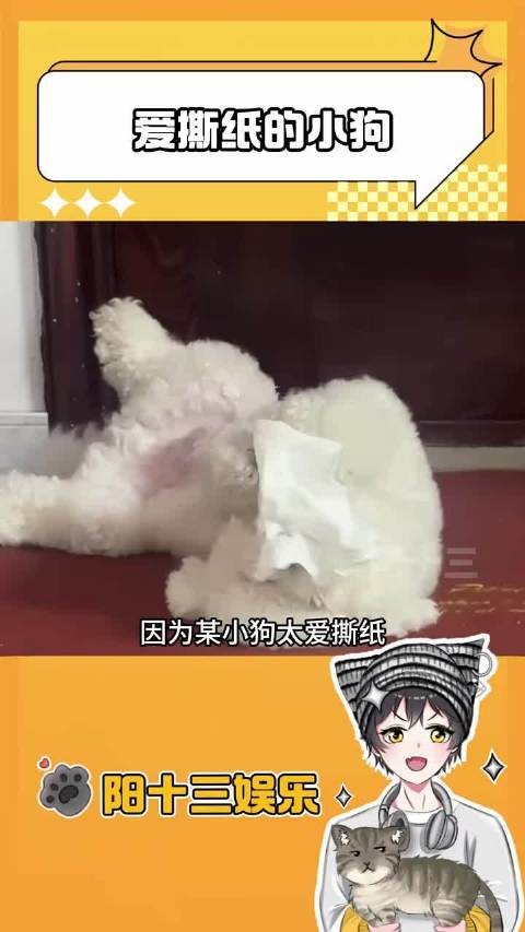 小狗:这纸有力气!