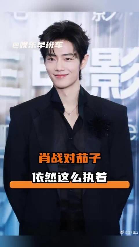 肖战对茄子,“怎么不算恨比爱长久呢”