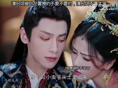 澹台烬被叶夕雾撩的不要不要的，澹台烬不要太宠