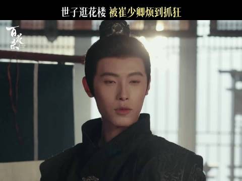 世子妃:开启一键跟随模式!世子妃就这样又争又抢,男女都防得死死的