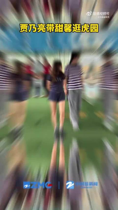 13岁甜馨个头齐平贾乃亮耳朵,父女逛虎园