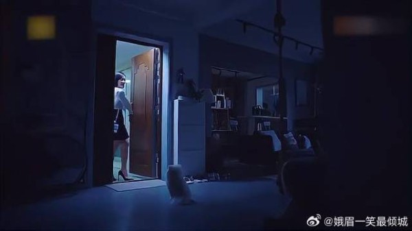 繁星来接狗，谁料前任爸爸来了，场面一度尴尬！