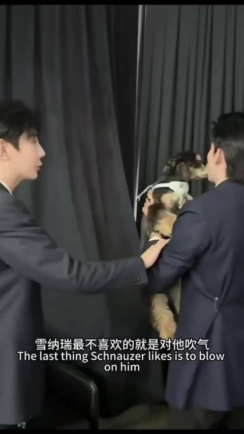 两活爹啊,就知道逗我们star玩啊啊啊啊,就欺负我们star不会说话!