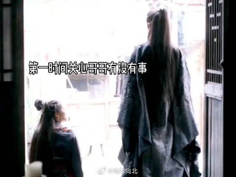 莫名其妙的觉得这段有点像兄妹