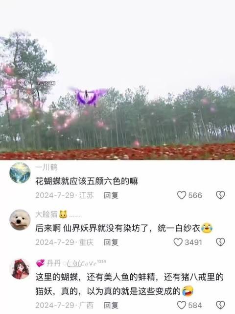 以前觉得她真的是蝴蝶,化成人的时候太惊艳了