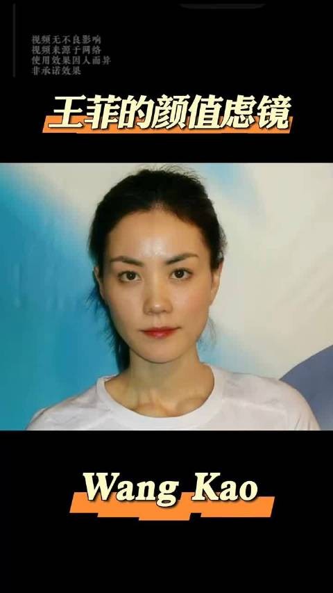 王菲的颜值虑镜 明星八卦