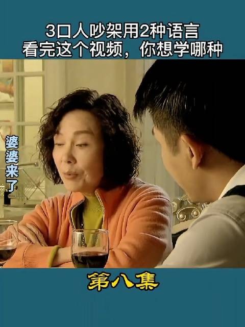 有文化真可怕,三口人用2种语言吵架,不得了了