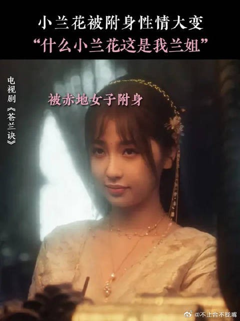 被这一段的小兰花迷倒了