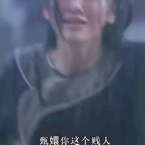 安陵容下线前未咒骂甄嬛,只说抱歉
