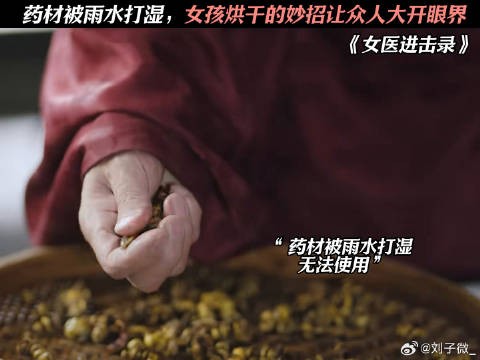 药材被雨水打湿,女孩烘干的妙招让众人大开眼界 女医进击录