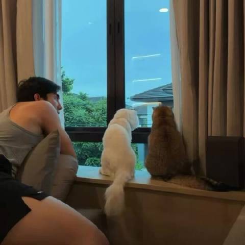 看啥呢 爸也要看 //主人会模仿宠物行为
