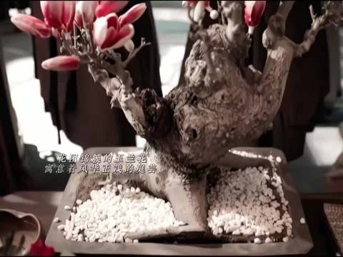 邓恩熙被温峥嵘亲一口,花开锦绣氛围暖