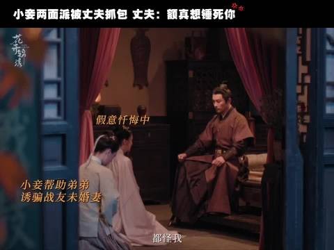 鲁姨娘(柔弱人设翻车版 )