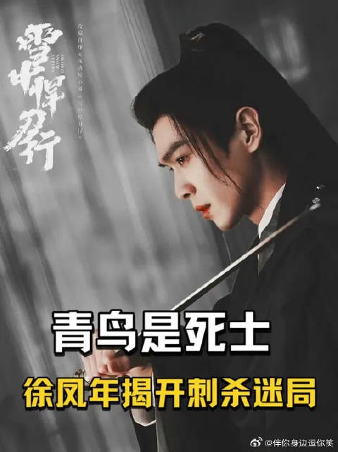 青鸟暴露死士身份,徐凤年揭开连环刺杀迷局