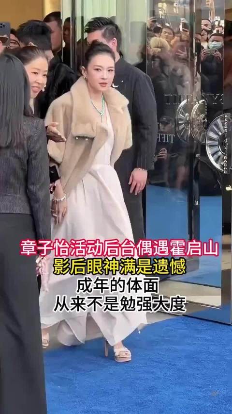 成年人的体面 从来不是勉强大度 章子怡还是太体面了