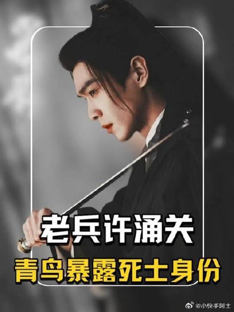 老兵许涌关,死士青鸟,林探花刺杀徐凤年