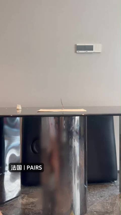 波妞:爸 你咋了? 花花已经沉浸式看巴黎了