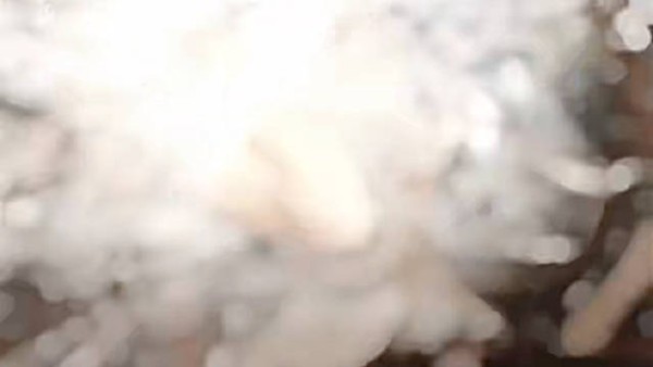 不管看几次,都觉得两人cp感好强