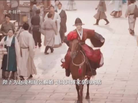 陛下为赵凌和庭芸赐婚,这次赵凌光明正大的迎娶庭芸