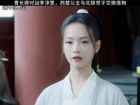 曹长卿对战李淳罡,西楚公主与北椋世子交换情物