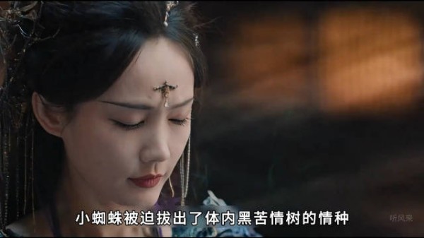 小蜘蛛被迫拔出了体内黑苦情树的情种,却不知这都是黑狐的阴谋