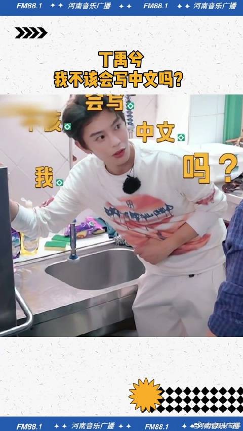 丁禹兮:我不该会写中文吗?