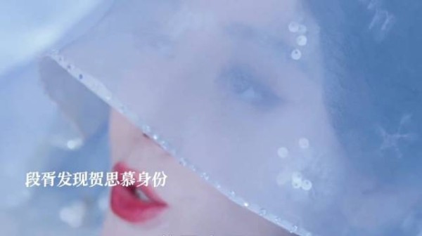 贺思慕战场上救下段胥等人，段胥知道她是万灵之主