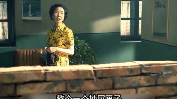 小姑为了儿子回家,和侄子抢房子了!