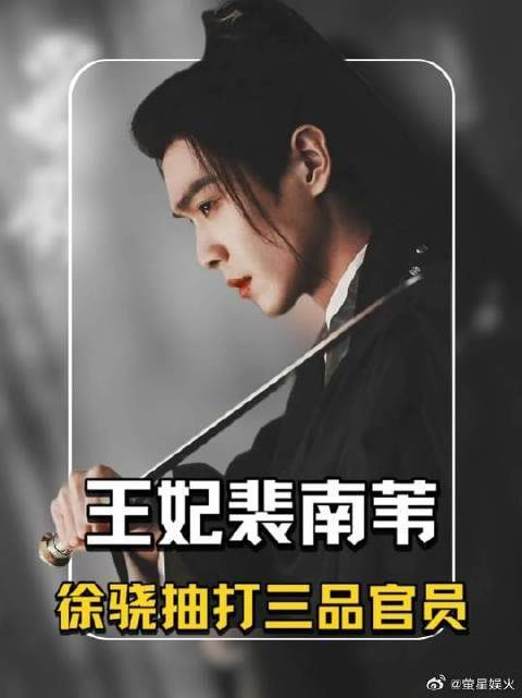 徐骁抽打三品官员,徐骁挑衅王妃裴南苇