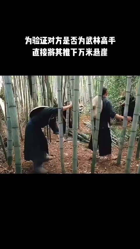 为验证对方是否为武林高手，直接将其推下万米悬崖！