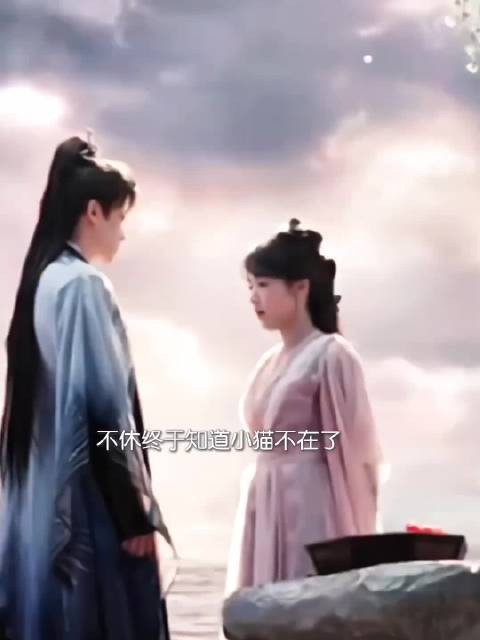不休得知小猫死讯,唯一朋友离世