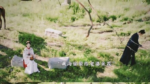 藏海为荼荼采花藏背后,浪漫举动显深情