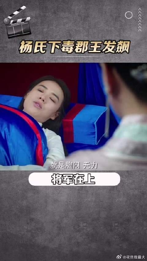 杨氏下毒害叶昭郡王发飙
