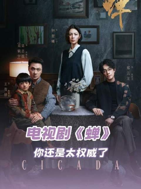 这部《蝉》精准拿捏观众心头好!电视剧蝉定档0820