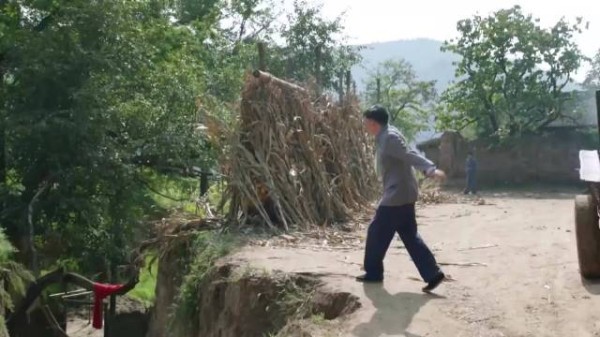 岁岁年年柿柿红：女知青回城，会计终于体面一回，主动握手言和