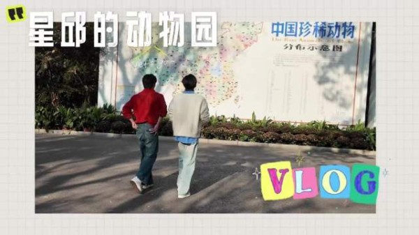 星星邱邱动物园vlog发布,一分钟精选视频扶持计划启动