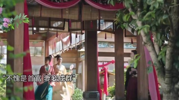 好家伙,不愧是淮州首富,娶了十八房夫人,去哪里都是一群