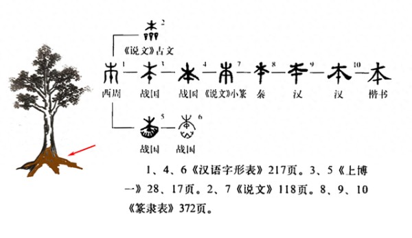 《说文解字》第1198课：细说“本”字，“指事字”的典型