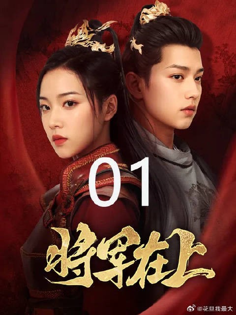 浴血战场的云缨大将军竟是女身从军