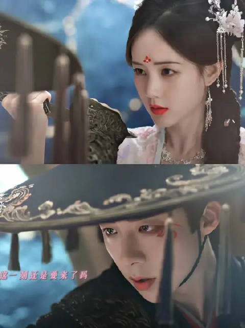 这是我们的命中注定