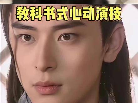 小猫：若对人类的倾心被视作表演，那咪唯有沉默