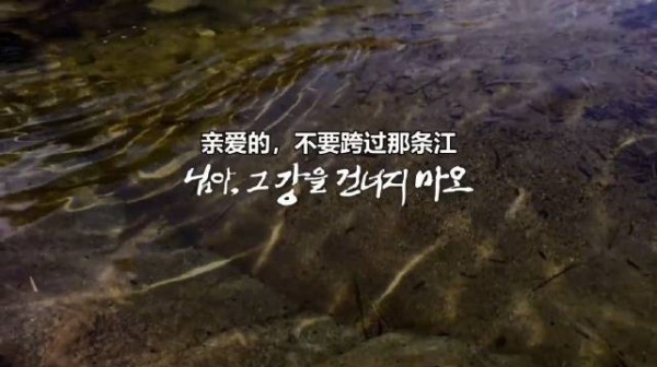 亲爱的,不要跨过那条江