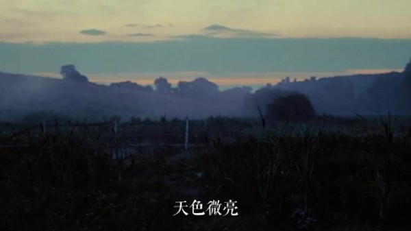 晨雾中放下傲慢与偏见,他牵起她的手