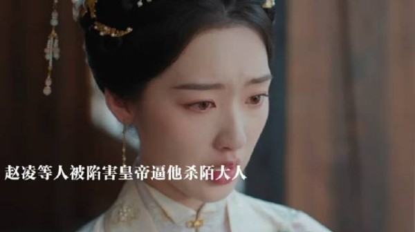 赵凌等人被俞家陷害，皇帝逼他杀陌大人，吴姨娘跟庭芸合作